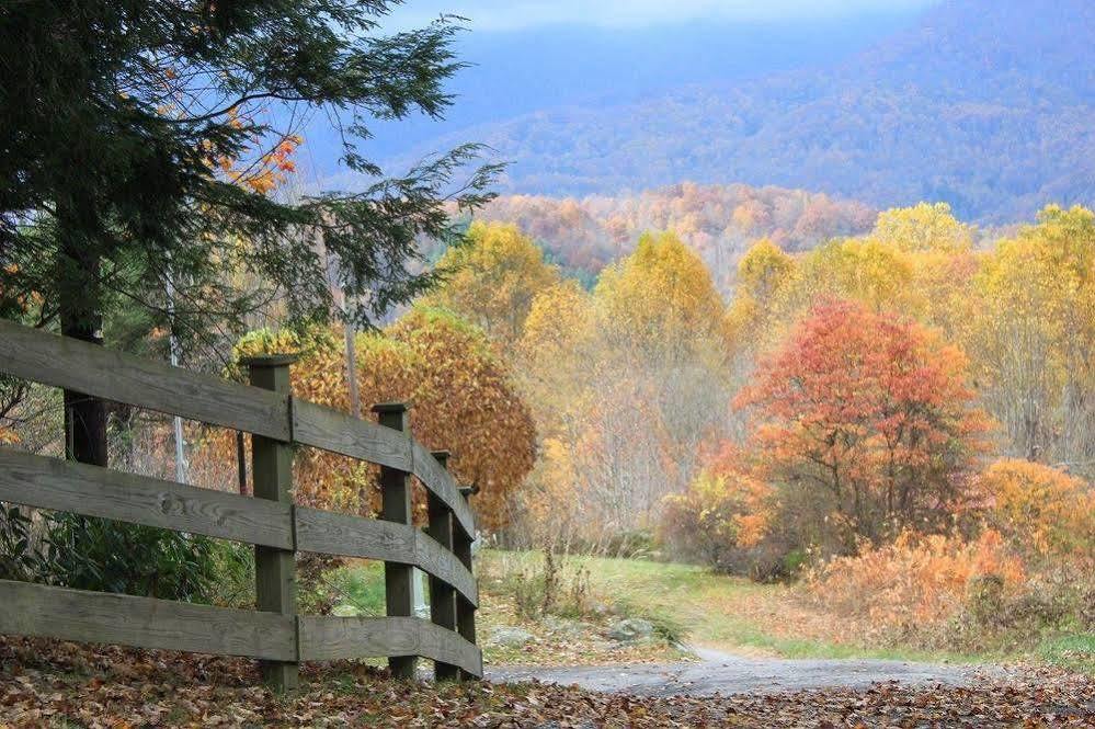 The Yellow House On Plott Creek Waynesville Exteriör bild